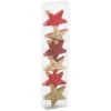Christmas Topic Plastic Star X 6 - Feeric Lights & Christmas